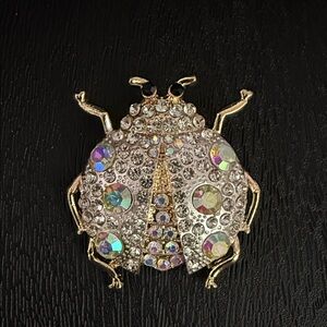 Sparkling Ladybug Brooch